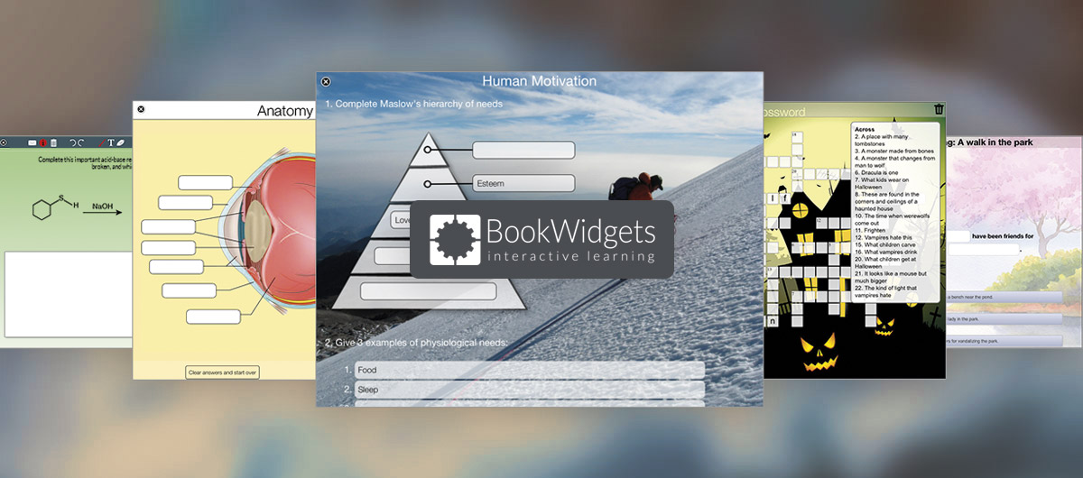 BookWidgets 5.2 : create engaging exercises for iPad in minutes